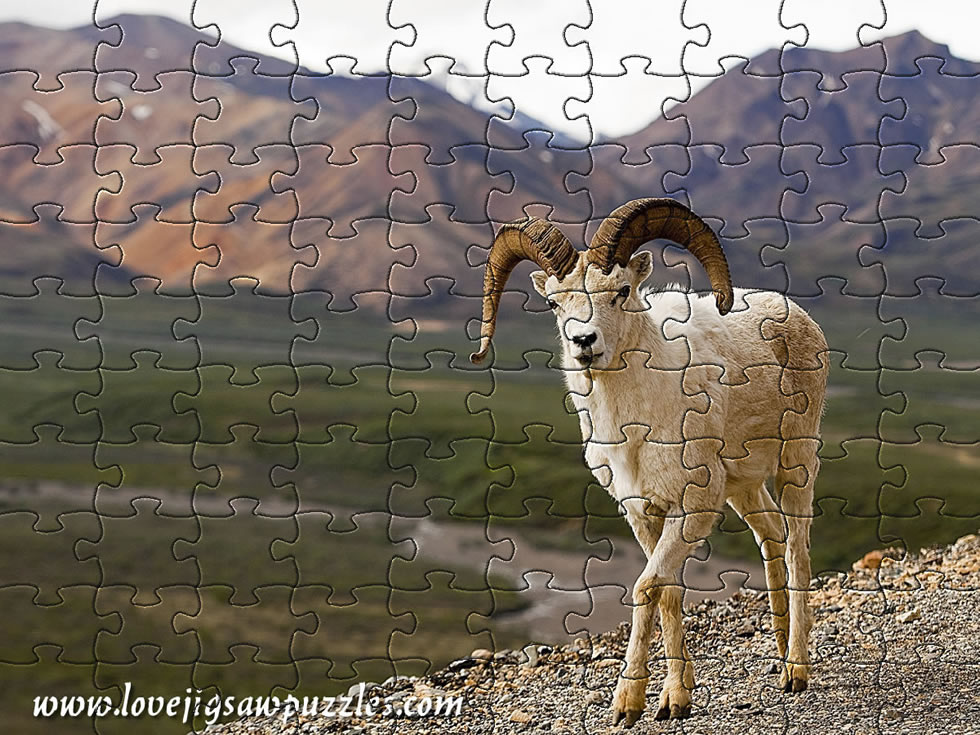 Jigsaw puzzles - 6 puzzles