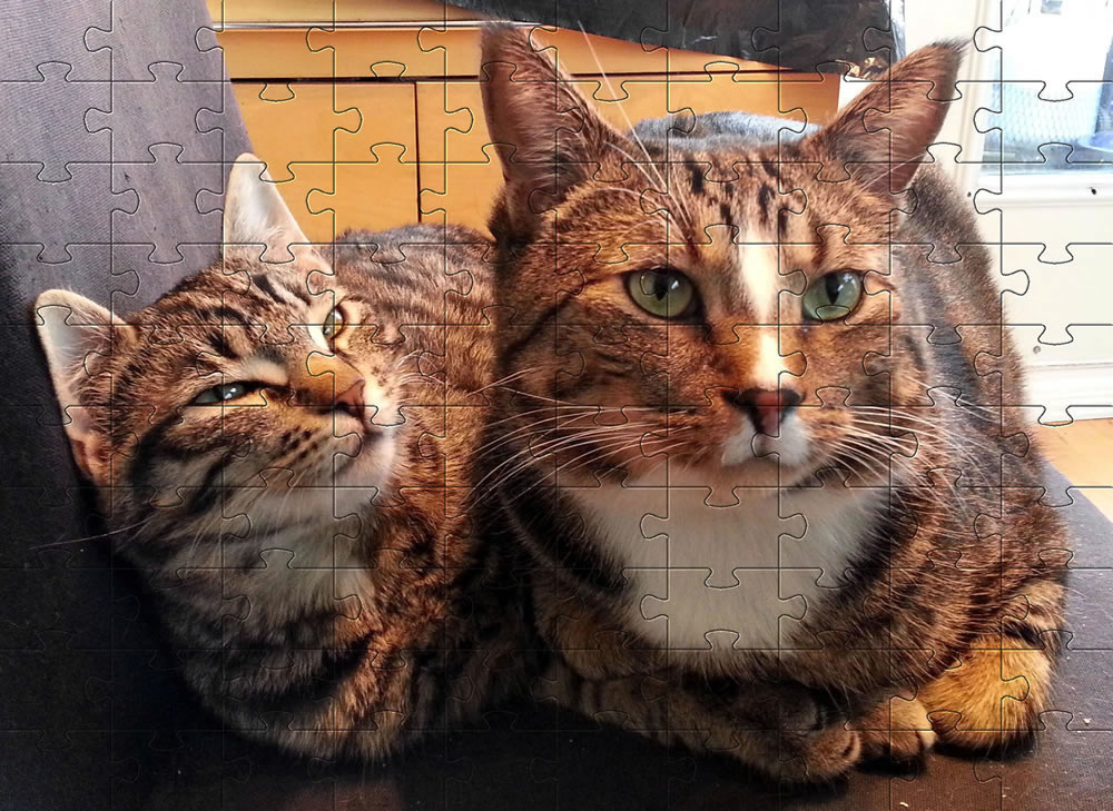 Jigsaw picture 2 - Pets and cats
