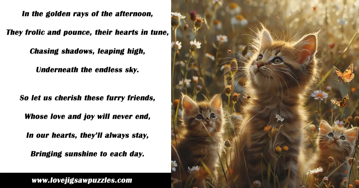 Poems about Cats 3