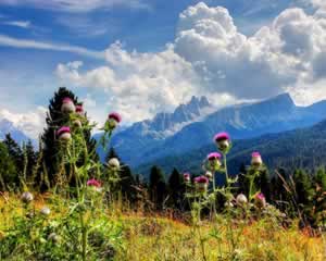 Croda da Lago, Dolomites Mountains - Scenery Jigsaw