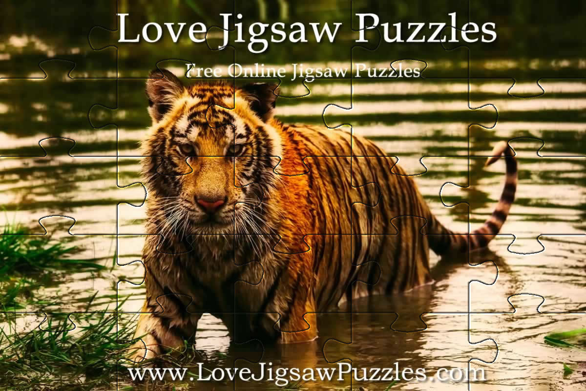 Jigsaw puzzle games