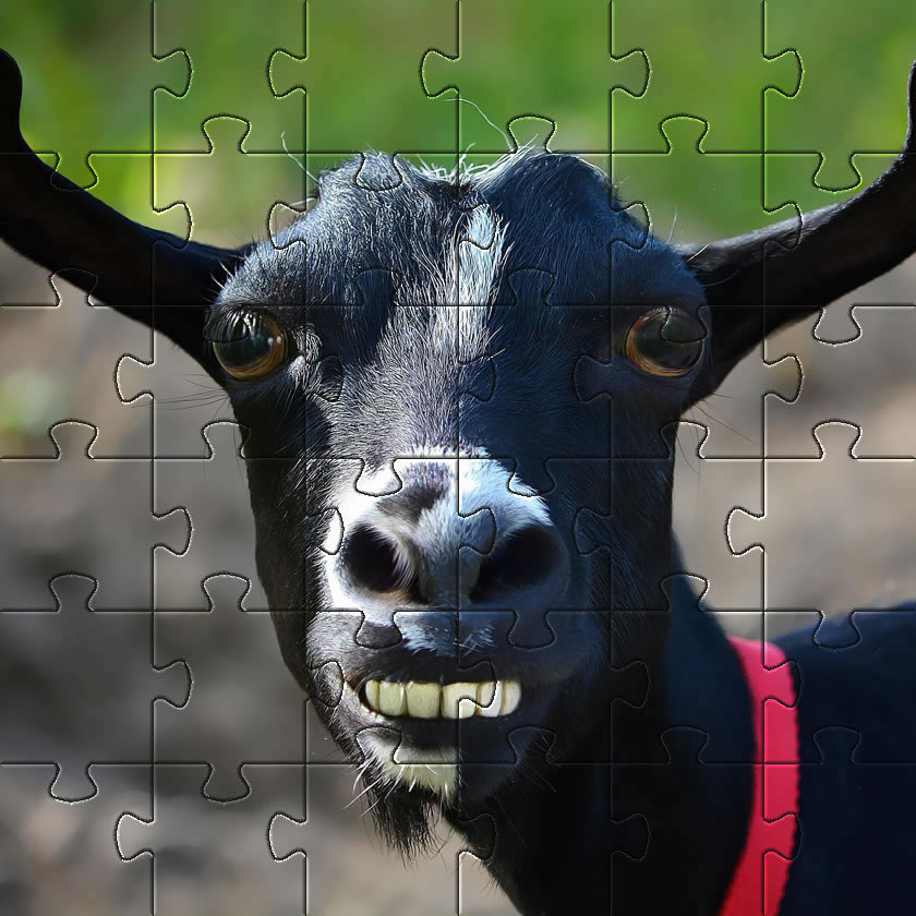 Farm animal jigsaw puzzle game