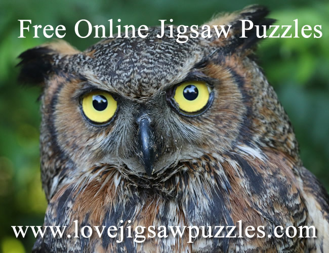 Free Jigsaw Puzzles of animals, wildlife and nature