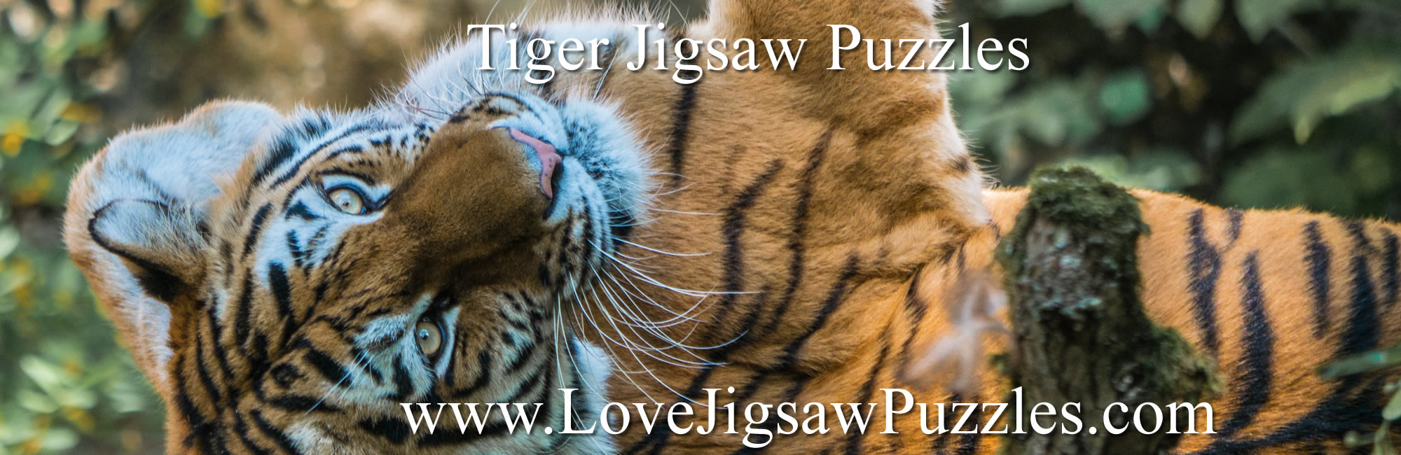 Tiger jigsaw