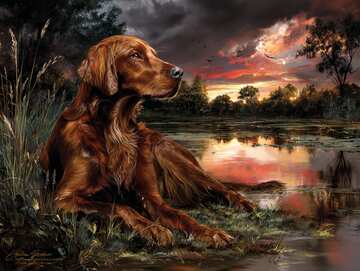 Elegant Irish Setter by a serene sunset lake with stunning pink and orange reflections! - picture 6